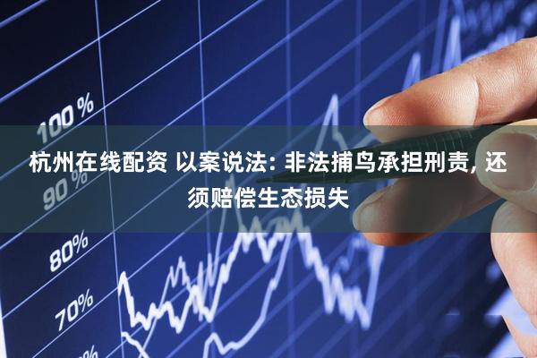 杭州在线配资 以案说法: 非法捕鸟承担刑责, 还须赔偿生态损失