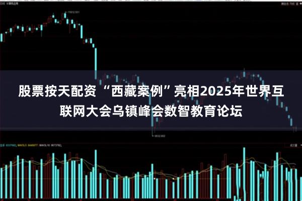 股票按天配资 “西藏案例”亮相2025年世界互联网大会乌镇峰会数智教育论坛